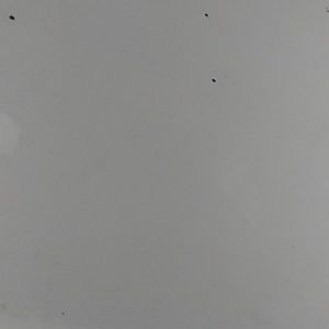 Meet your Posher, Jose